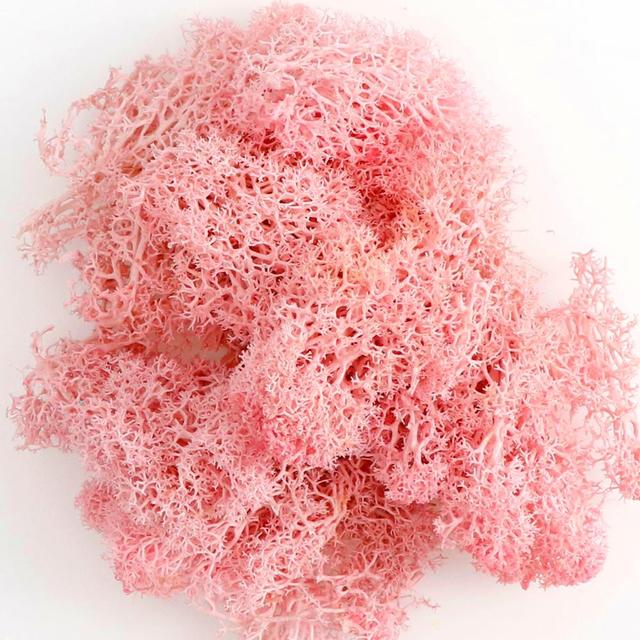 Load image into Gallery viewer, 1 Pack Unfinished Pine Natural Round Wood Slices Circles With Tree Bark Log Discs For DIY Crafts Wedding Party Painting Decor - ZBAITU