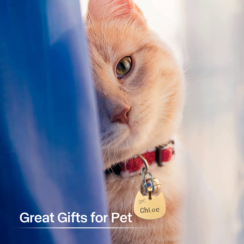 Load image into Gallery viewer, Pet Bundle for Cat (15pcs) - ZBAITU