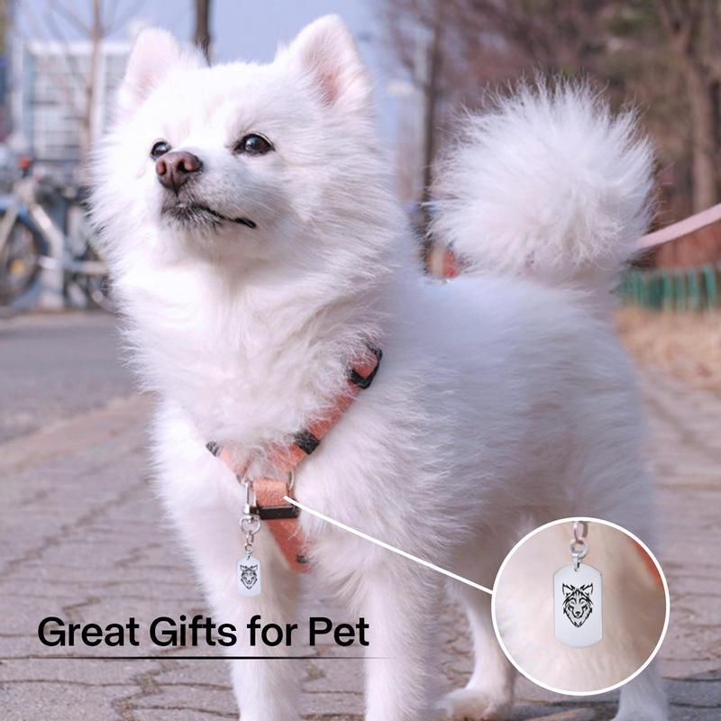 Load image into Gallery viewer, Stainless Steel Shield Tag (10pcs) - ZBAITU