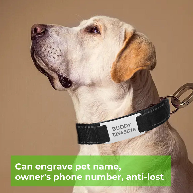 Load image into Gallery viewer, Dog Collar (2pcs) - ZBAITU